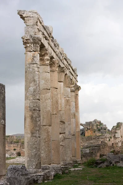 Apamea, Suriye - Mayıs 2009: Savaştan önce Suriye. Suriye 'nin etkileyici Apamea Yunan ve Roma şehri Apamea' da Büyük Koloni ve zafer kemerleri. Apamea antik bir Yunan ve Roma şehriydi. 
