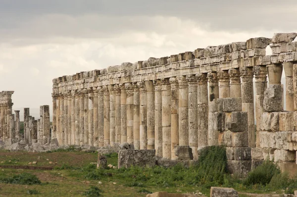 Apamea Sýrie Květen 2009 Sýrie Před Válkou Velká Kolonáda Triumfální — Stock fotografie