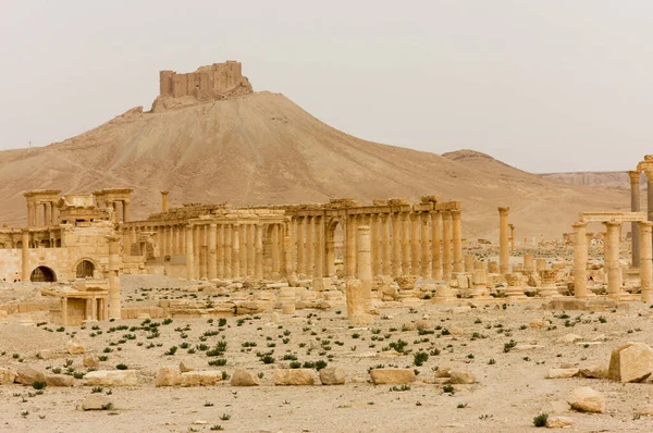Palmyre Síria 2009 Este Antigo Local Tem Muitas Ruínas Romanas — Fotografia de Stock