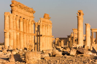Palmyre Suriye 2009. Bu antik bölgede birçok Roma harabeleri var. Bu ayakta duran sütunlar öğleden sonra güneşinde çekilmiş ve arka plandaki tepede kaleler var. Yüksek kalite fotoğraf