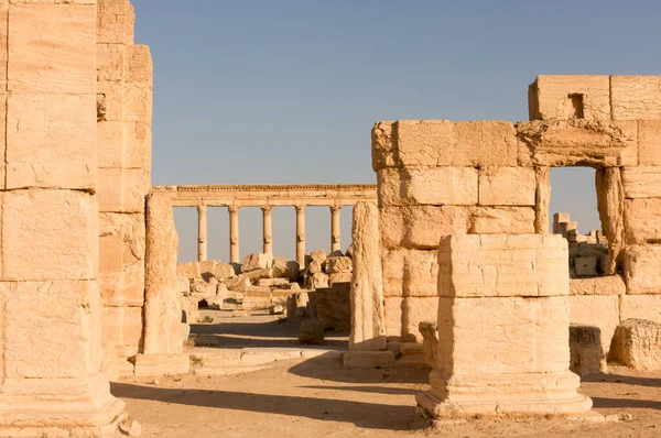 Palmyre Siria 2009 Este Sitio Antiguo Tiene Muchas Ruinas Romanas — Foto de Stock