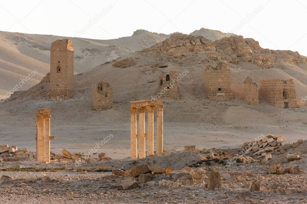 Palmyre Syria 2009 This ancient site has many Roman ruins, these standing columns shot in late afternoon sun with the tower tombs in the background . High quality photo