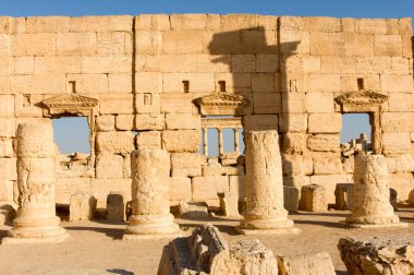 Palmyre Suriye 2009. Bu antik bölgede birçok Roma harabeleri var. Bu ayakta duran sütunlar öğleden sonra güneşinde çekilmiş ve arka plandaki tepede kaleler var. Yüksek kalite fotoğraf
