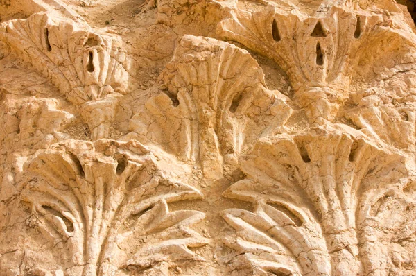パルミレ シリア2009この古代遺跡には多くのローマ時代の遺跡があり 午後遅くに撮影された壁に扇型のヤシの葉の詳細を示しています — ストック写真
