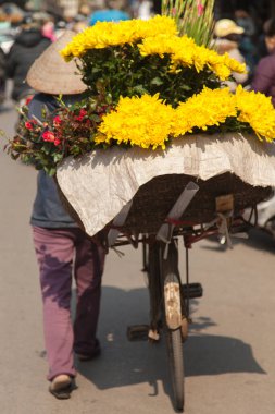 Hanoi Vietnam 20.12.2013 kadın sokak satıcısı sarı çiçekli bisikletli 