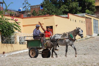 Trinidad, Küba 15.12.2018 At ve yük arabası taşımacılığı