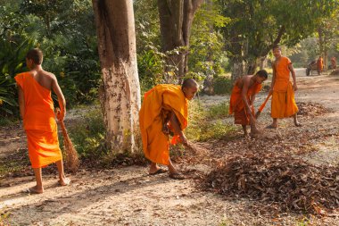 Siem Reap Angkor Wat Kamboçya 8.12.2013 Turuncu cüppeli keşişler yaprakları süpürüyor