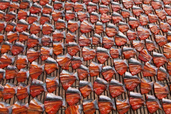 Fish drying at Phsar Prohok Fish Paste Market Cambodia where fish-paste is made — Stock Photo, Image