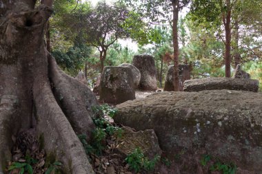 Kavanozların Ovası, Phonsavan Laos 2000 yıllık taş kavanozların gizemli konumu