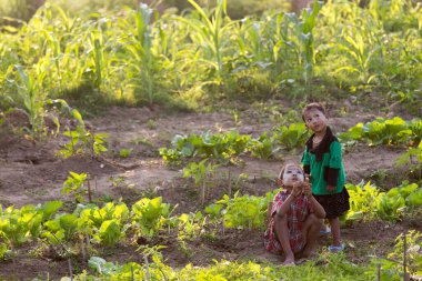 U Bien Mandalay Myanmar 12.16.2015 Köprü altında yetişen sebze mahsulü