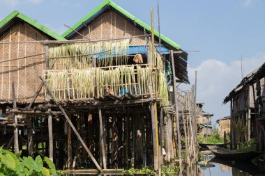 Inle Gölü Myanmar 12.16.2015 Taunggyi 'nin yüzen köyü.