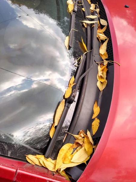 Bright Yellow Leaves Hood Car Windshield Reflects Blue Sky Clouds — Stock Photo, Image