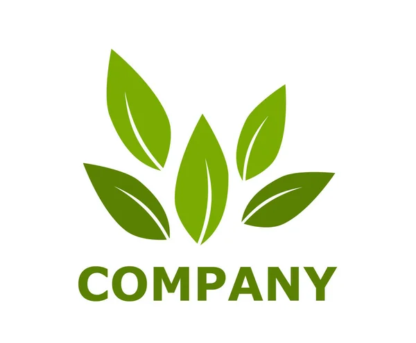 Perbesar Konsep Desain Logo Daun Hijau Ilustrasi Ide Untuk Perusahaan - Stok Vektor