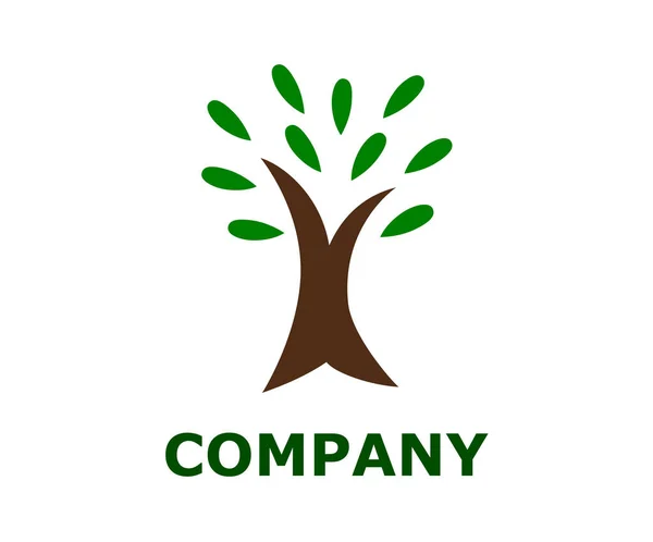 Bentuk Lingkaran Tree Logo Templat Vektor Desain Organic Natural Plant - Stok Vektor