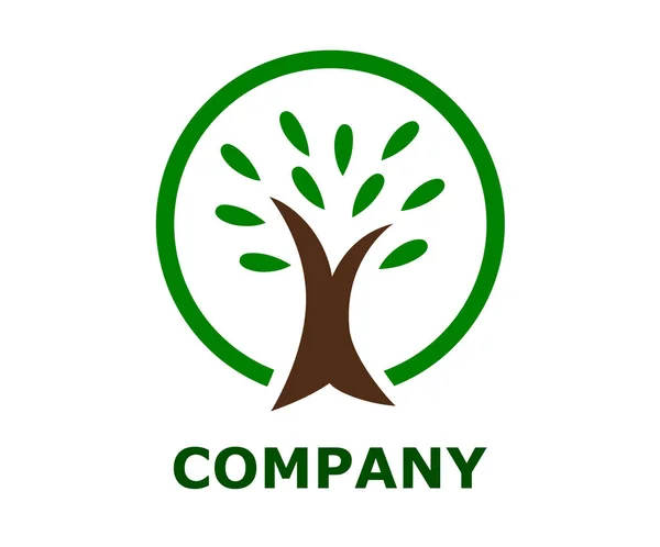 Bentuk Lingkaran Tree Logo Templat Vektor Desain Organic Natural Plant - Stok Vektor