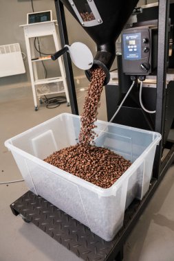 Hazır kahve çekirdekleri paketlenmek üzere konteynıra düşüyor.