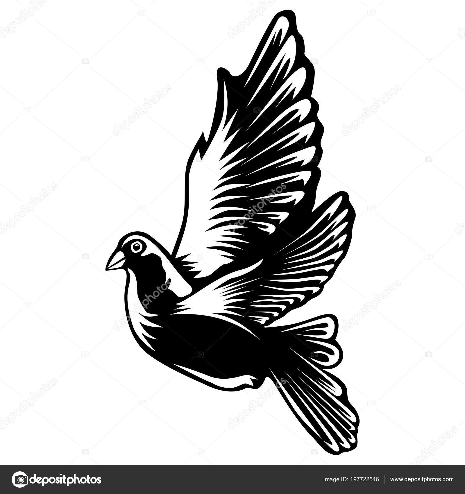 Colombe Isolé Sur Illustration Vectorielle Blanc Emblème