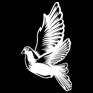 Güvercin beyaz vektör illüstrasyon izole. Kuş amblemi. Siyah ve beyaz kuş logosu. Basit yaban hayatı resim.