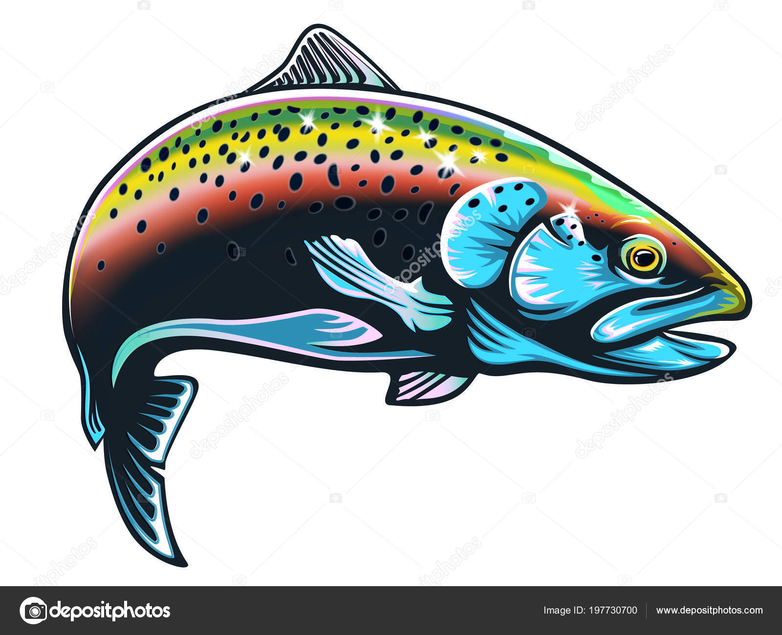 Rainbow trout jumping drawing | Realistic Drawing Rainbow Trout Jumping