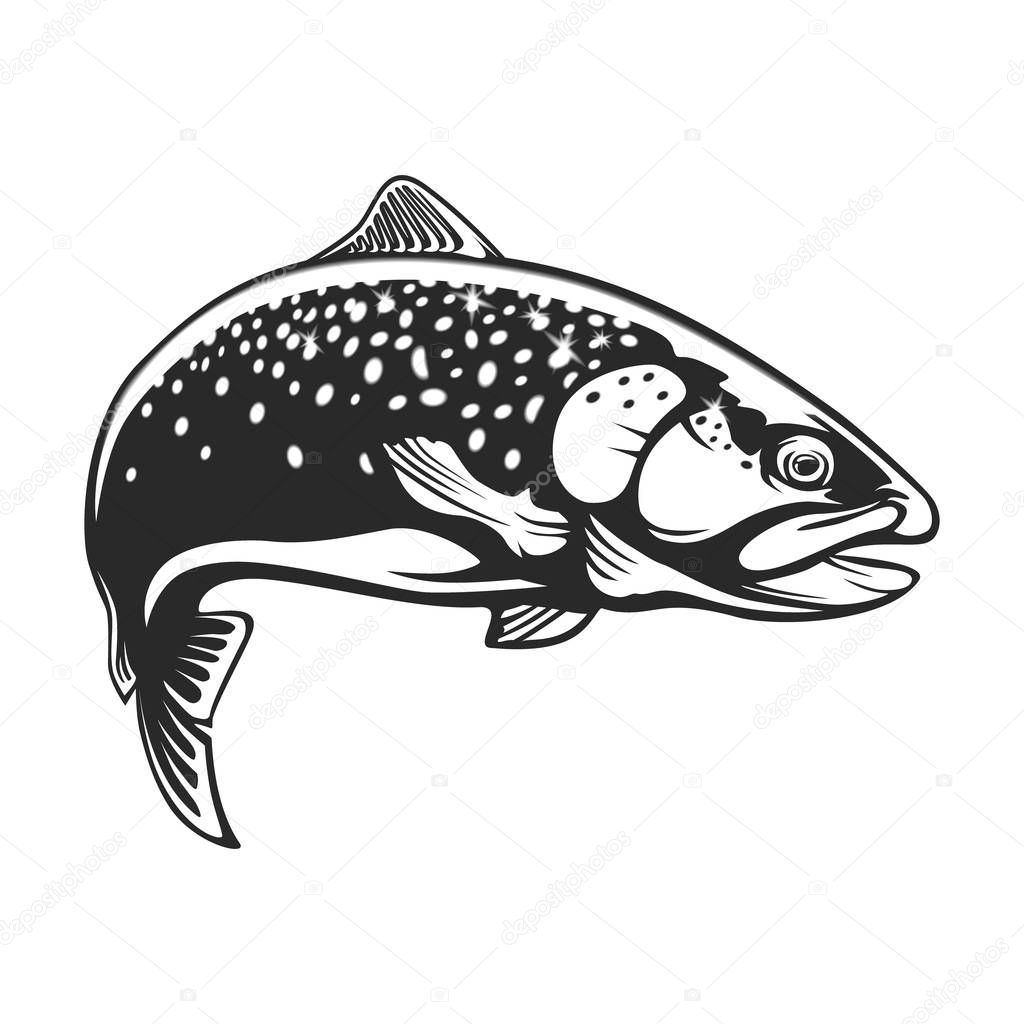 Trout jumping out of water drawing | Realistic Drawing Rainbow Trout