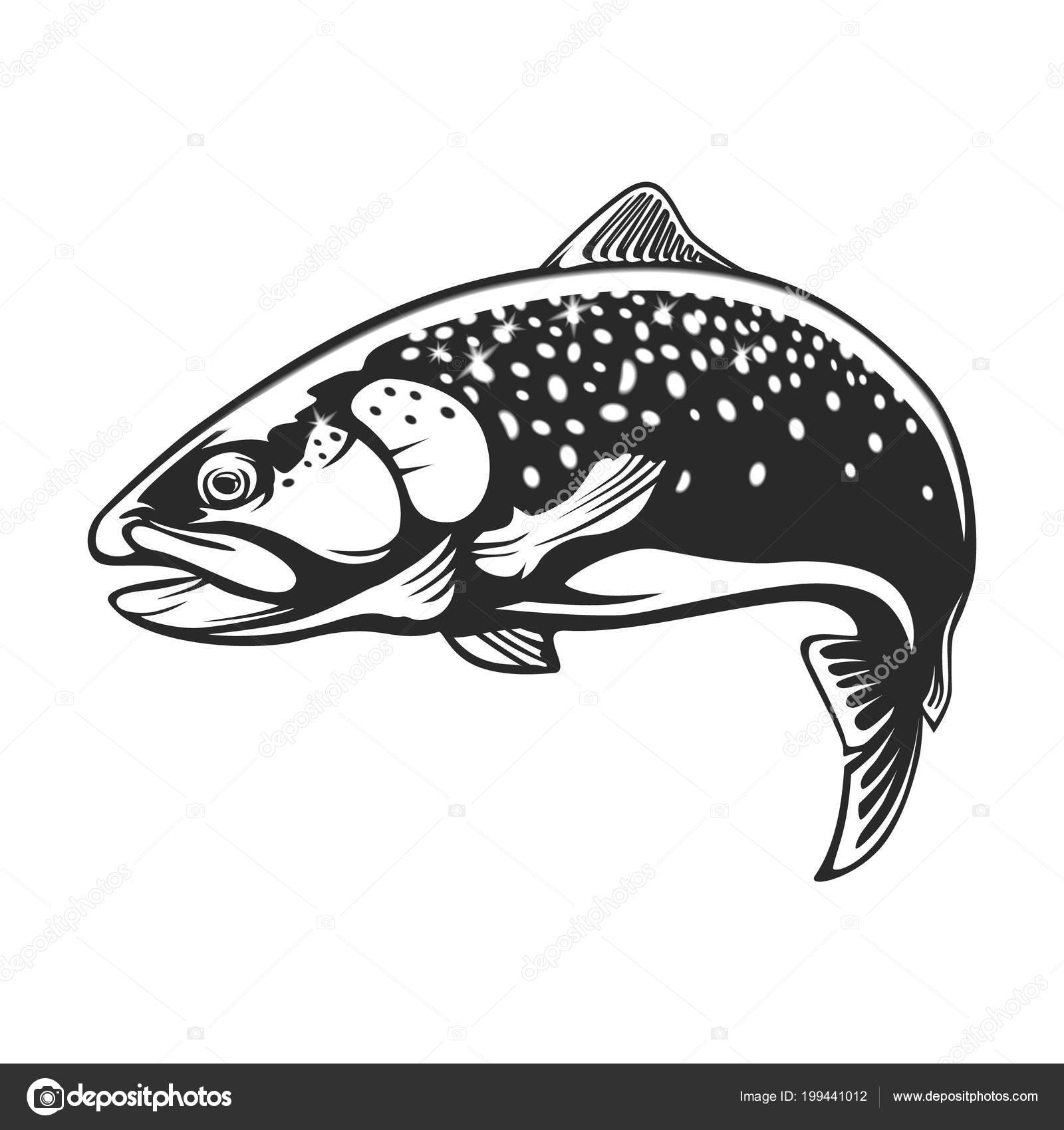 Rainbow Trout Jumping Out Water Rainbow Trout Jumping Out Water