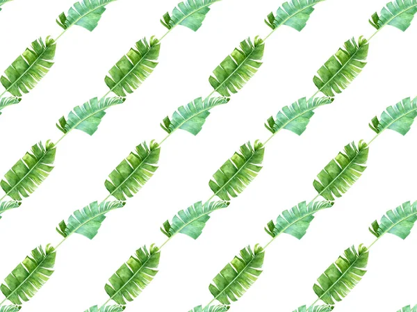 Bezešvé pattern s tropické palmové listy — Stock fotografie