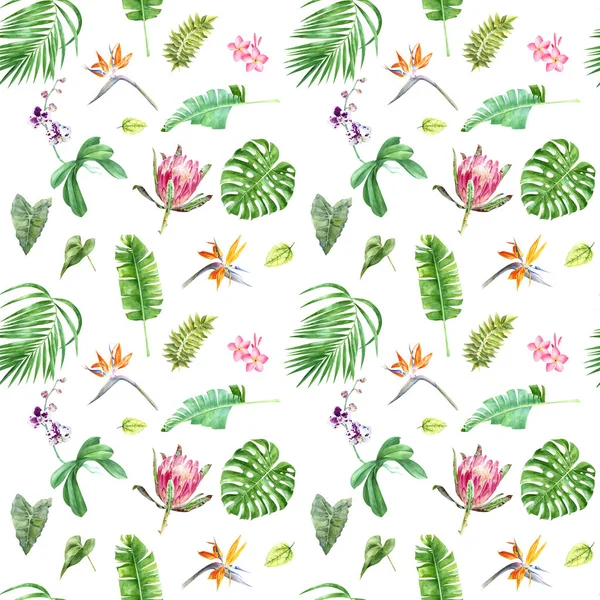 Patrón tropical sin costura floral con flores y hojas exóticas —  Fotos de Stock