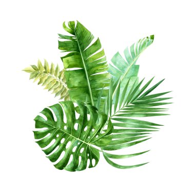 Orman buket bırakır