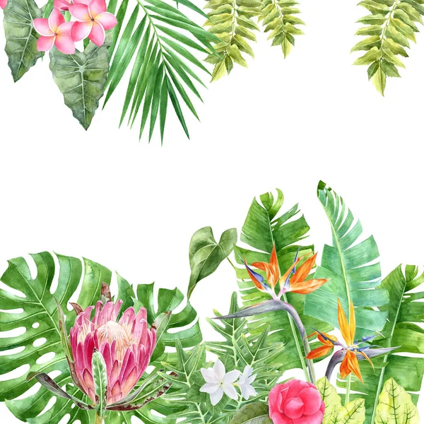 Akwarela Tło z tropikalnych roślin i kwiatów — Zdjęcie stockowe