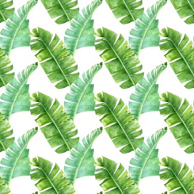 Dikişsiz desen muz palmiye yaprakları