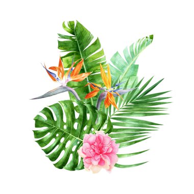 Orman bitki ve çiçekler ile tropikal kompozisyon