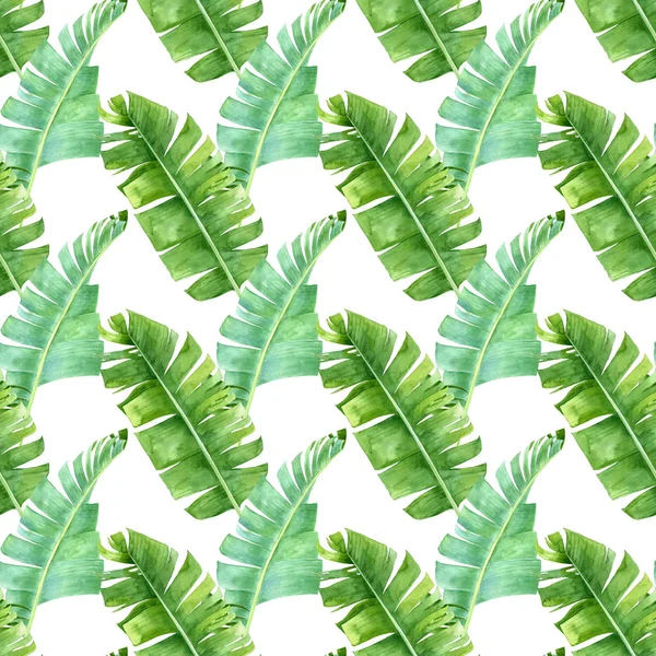 Banana palm leaves seamless pattern — Stock Photo, Image