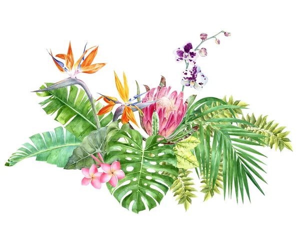 Bright tropical border with jungle leaves and flowers — Stock Photo, Image