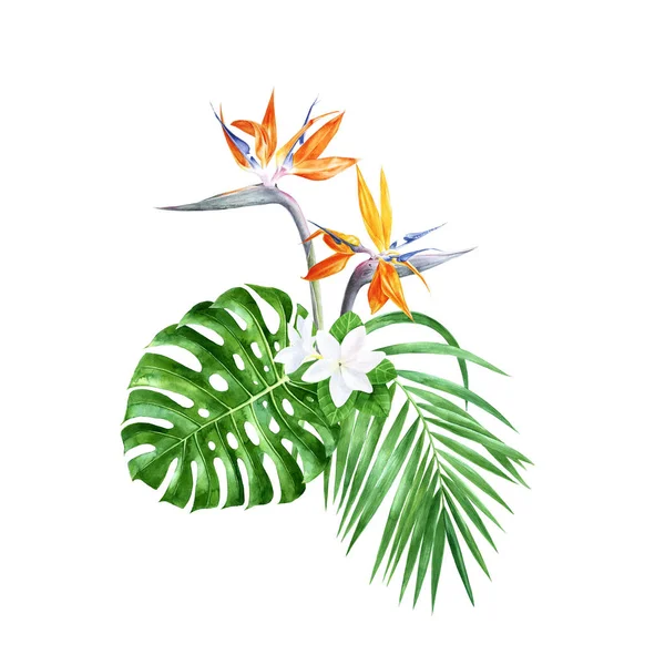 Group of tropical flowers and leaves — Stock Photo, Image