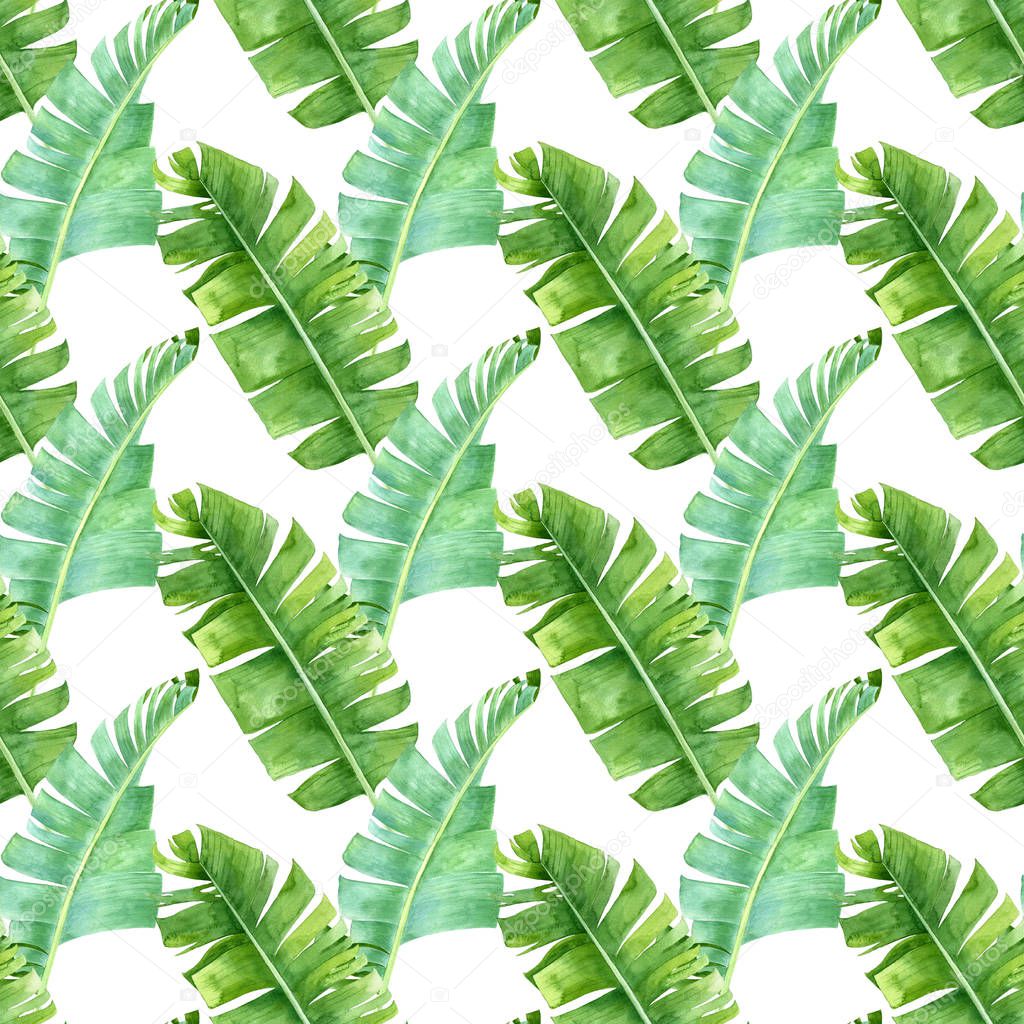 Banana palm leaves seamless pattern