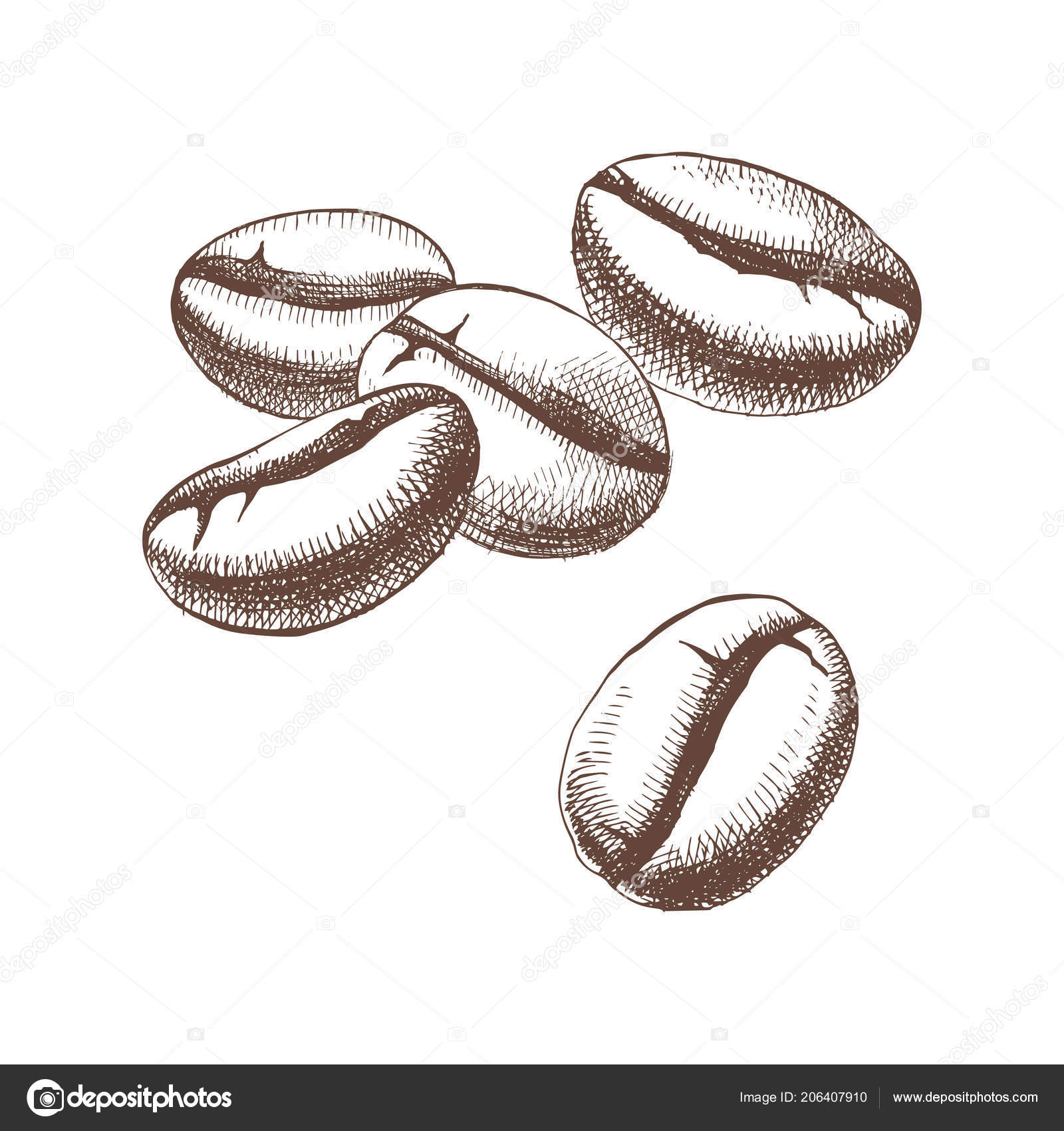 Image vectorielle Grains de café dessinés à la main par ©mart_m - 206407910, image size:1600x1700