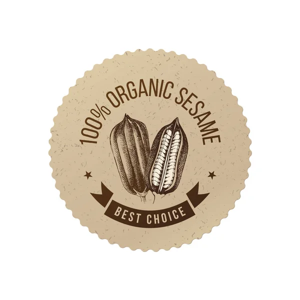 Emblem Hand Drawn Sesame Plant Type Design 100 Percent Organic — Stock Vector