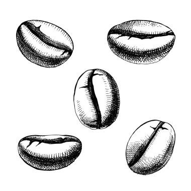 Kahve çekirdekleri el çizdi