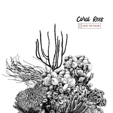 Elle çizilmiş mercan