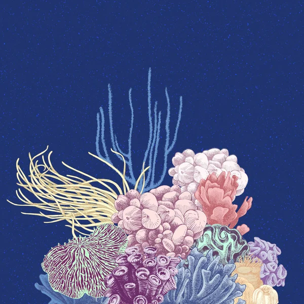 カラフルなサンゴ礁のベクトルの背景 — ストックベクタ