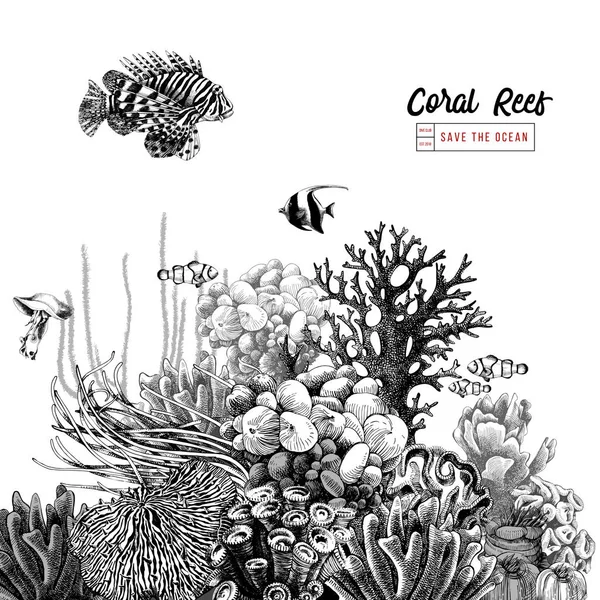 Récif corallien dessiné à la main avec des poissons tropicaux — Image vectorielle