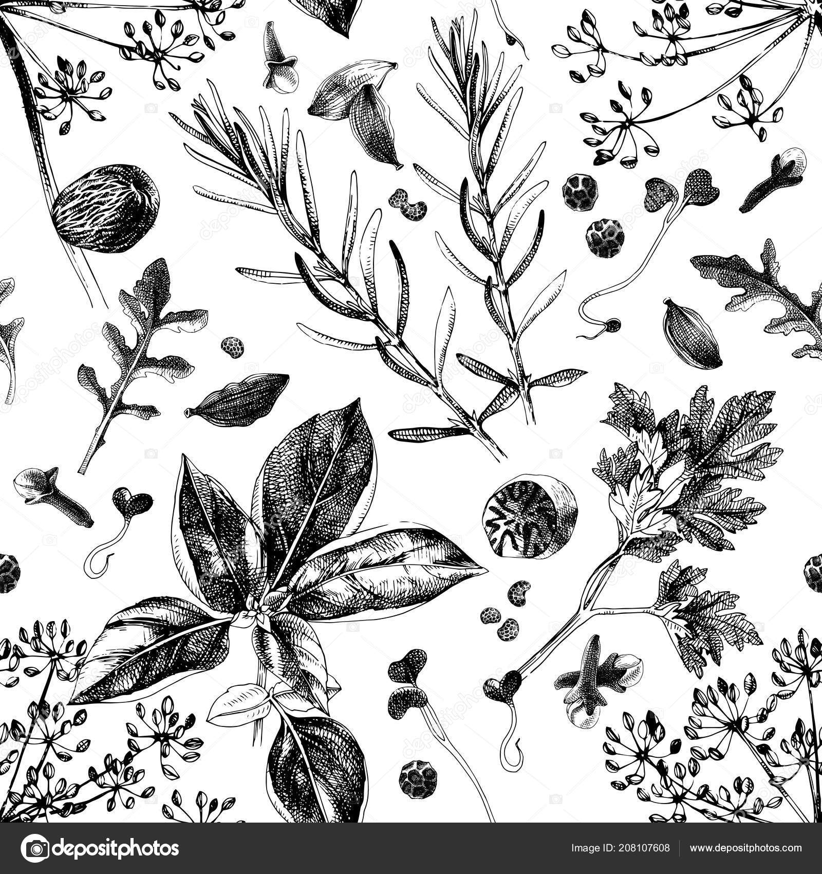 LUDOBITS - LENGUA Y LITERATURA 10 - DOCENTE - Editorial ThatBook | Flip PDF  en línea | FlipHTML5, image size:1600x1700