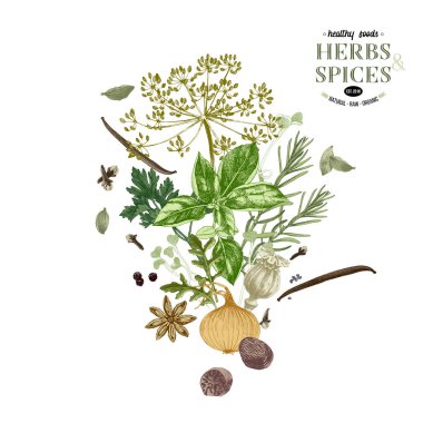 Otlar ve baharatlar ile çizilmiş arka plan el.