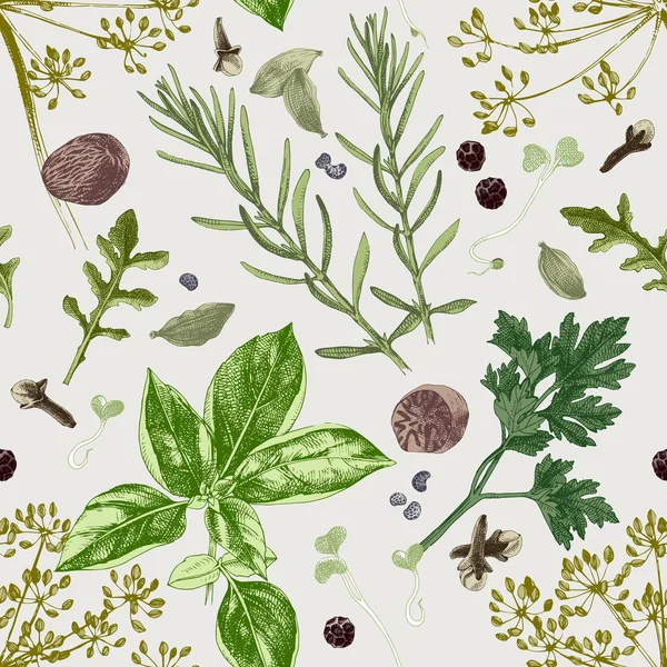 Motif sans couture avec des herbes et des épices — Image vectorielle