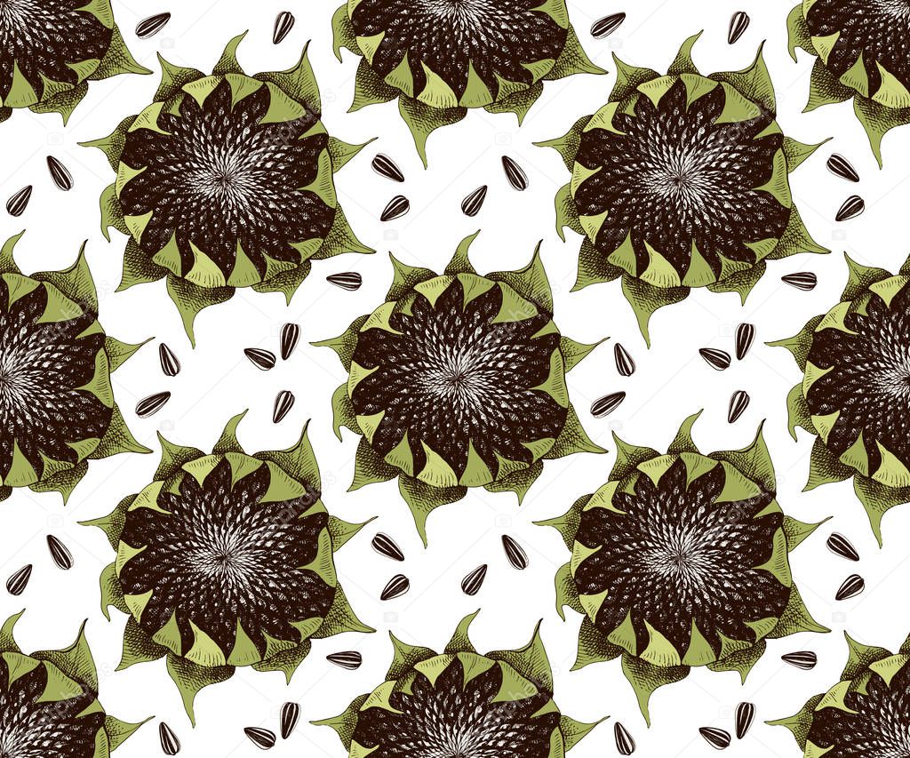 Seamless pattern with hand drawn sunflowers