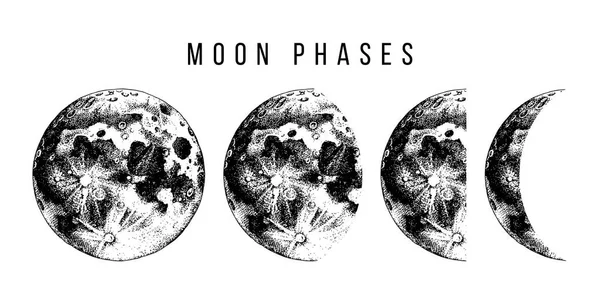 Illustration des phases de lune — Image vectorielle