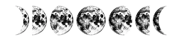 Fases de la Luna Ilustración — Vector de stock