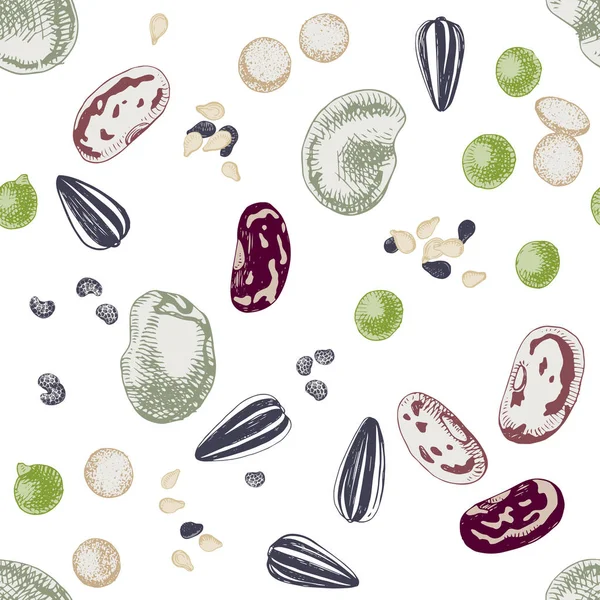 Nahtloses Muster mit gezogenen Samen und Bohnen — Stockvektor