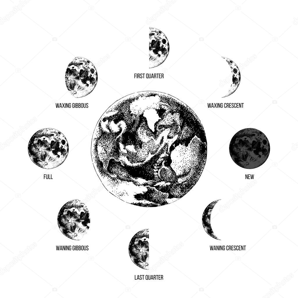 Moon phases illustration