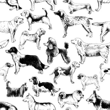 Köpek ırkları ile Seamless modeli